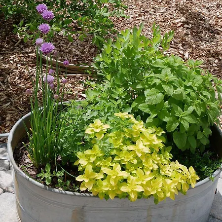 Ferienwohnung-bosau-im-schwedenhaus * Bosau